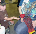 Female_Eclectus_and_Boy